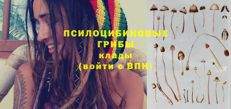 omg вход  Краснотурьинск  Галлюциногенные грибы прущие грибы 