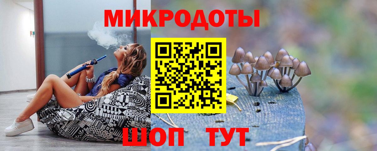 Краснотурьинск  где продают наркотики  Вход с VPN  Галлюциногенные грибы Psilocybe 